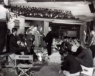 On The Set of The Birds